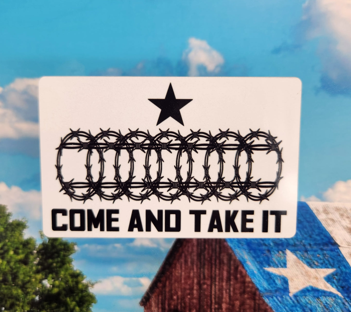 Magnet: Patriotic (Come and Take It Barb Wire, Razor Wire)